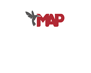 Logo of MAP Economic Inquiry (MAPEI) Journal